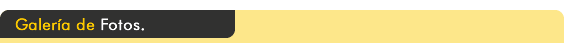 Galeria de Fotos
